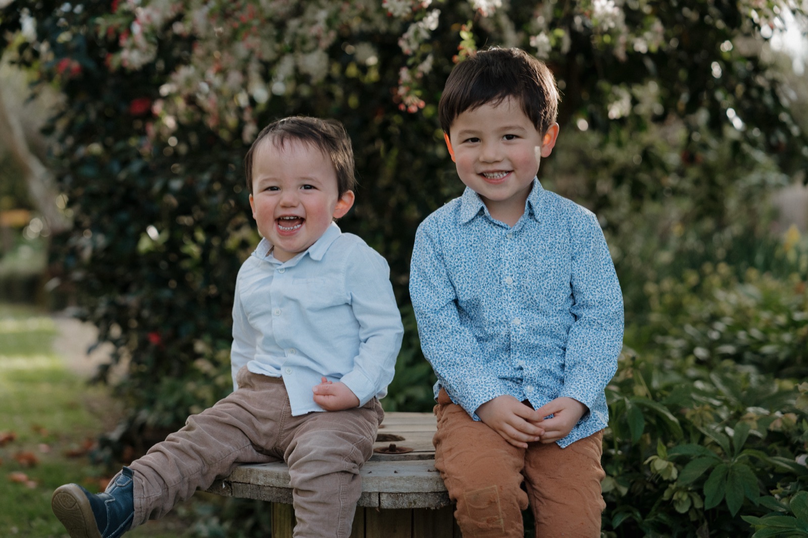 Two young brothers sitting side by side, mid-laugh